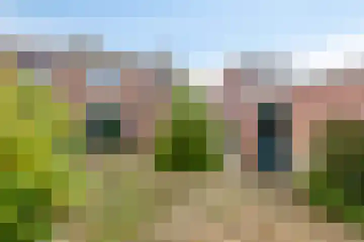 van Houtstraat 18 Duiven thumbnail 50