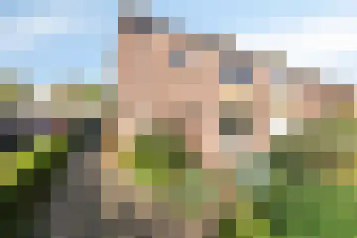 van Houtstraat 18 Duiven thumbnail 6