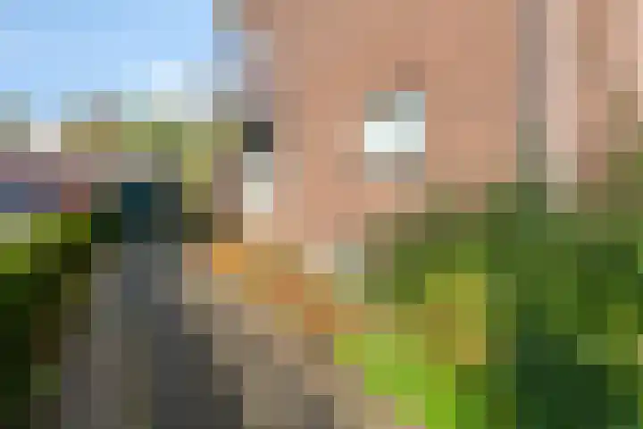 van Houtstraat 18 Duiven thumbnail 7