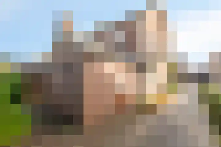 van Houtstraat 18 Duiven thumbnail 8