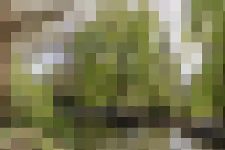 Team foto van Van Huis Uit Makelaars B.V.