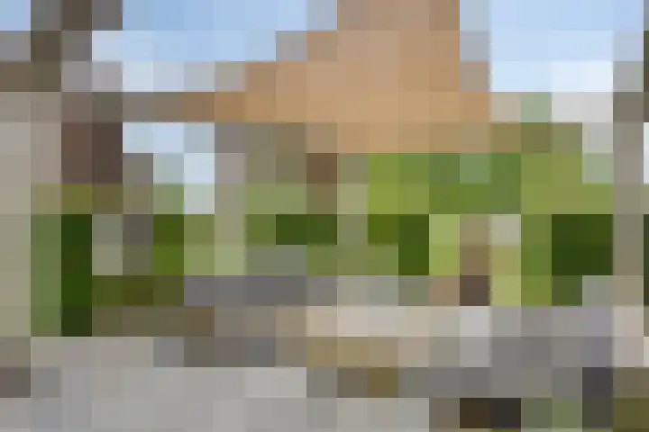 Logo Van Huis Uit Makelaars