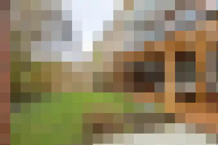 Van Iddekingeweg 18 Groningen thumbnail 38