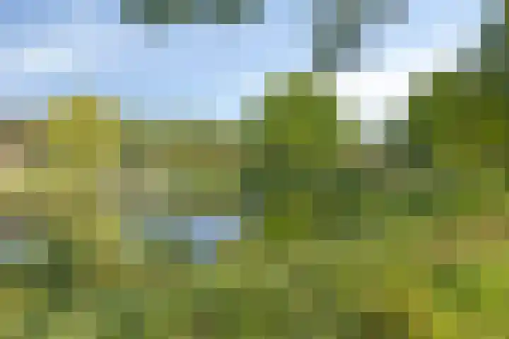 Van Iddekingeweg 196 Groningen thumbnail 30