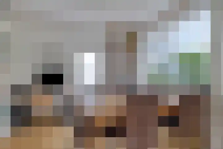 Van Iddekingeweg 73 Groningen thumbnail 14