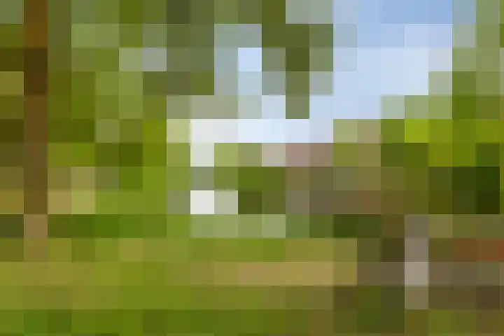 Van Iddekingeweg 73 Groningen thumbnail 27