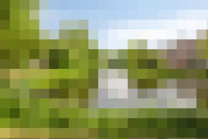Van Iddekingeweg 73 Groningen thumbnail 28