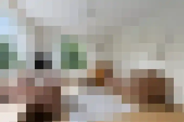 Van Iddekingeweg 73 Groningen thumbnail 9