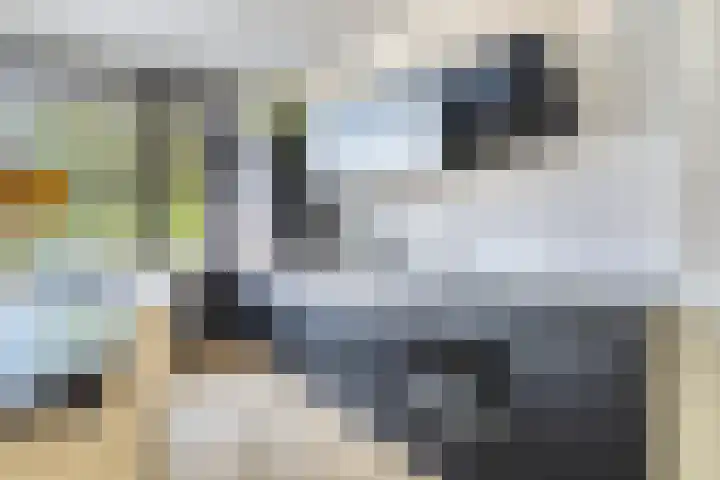Van IJsendijkstraat 41 Purmerend thumbnail 9