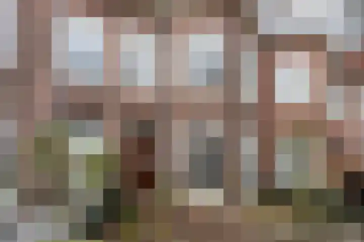 Van Imhoffstraat 17 Den Haag thumbnail 5