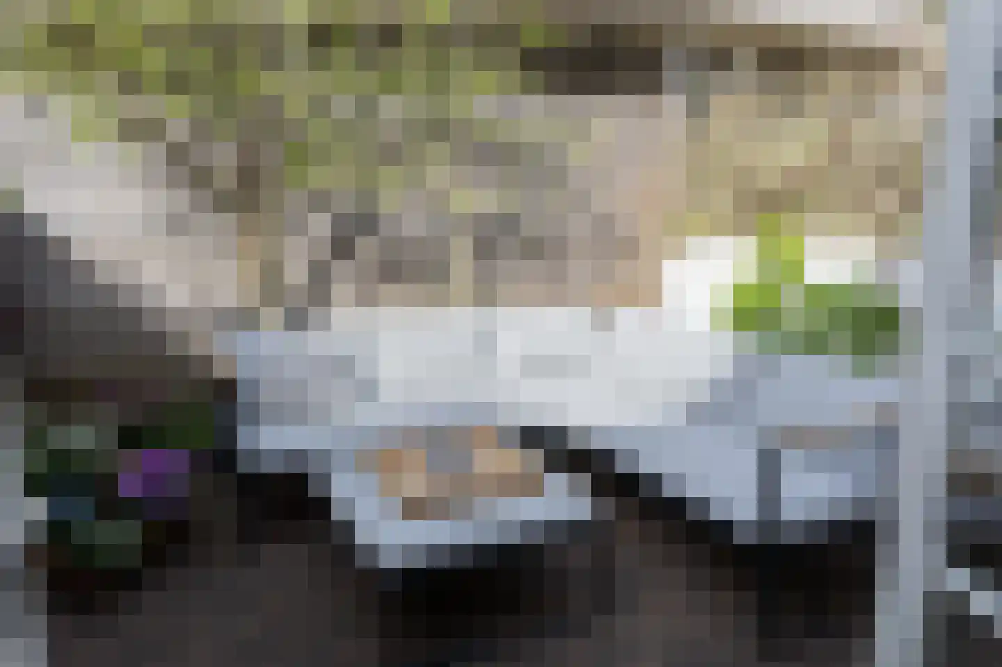 Van Imhoffstraat 3 Utrecht thumbnail 21