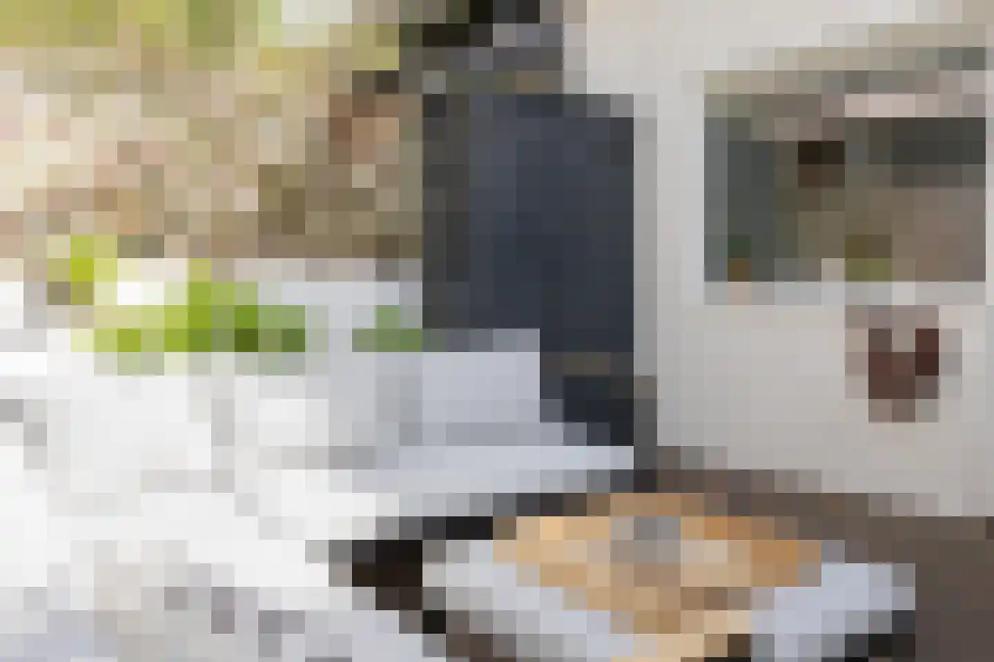 Van Imhoffstraat 3 Utrecht thumbnail 22