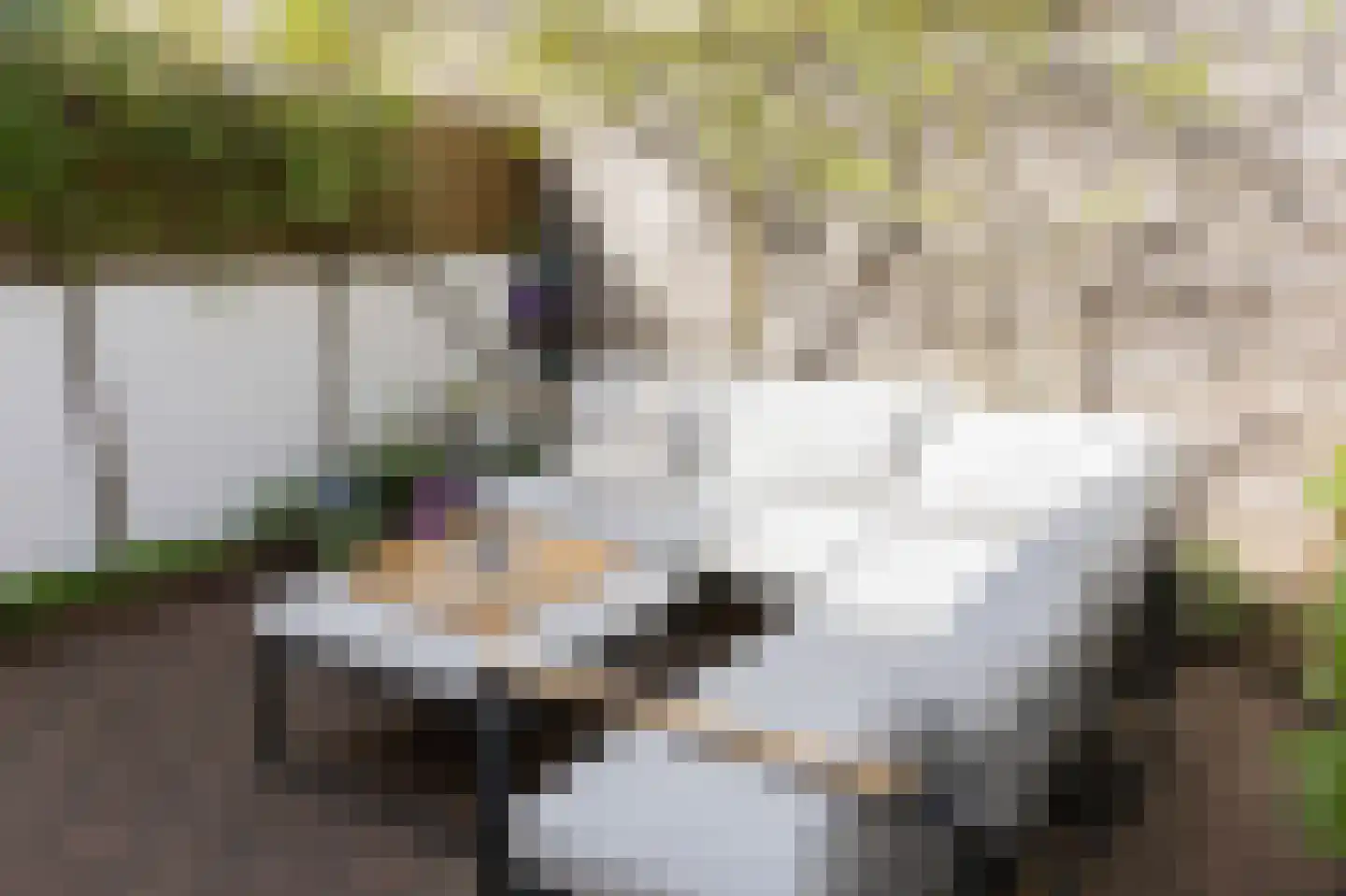 Van Imhoffstraat 3 Utrecht thumbnail 23