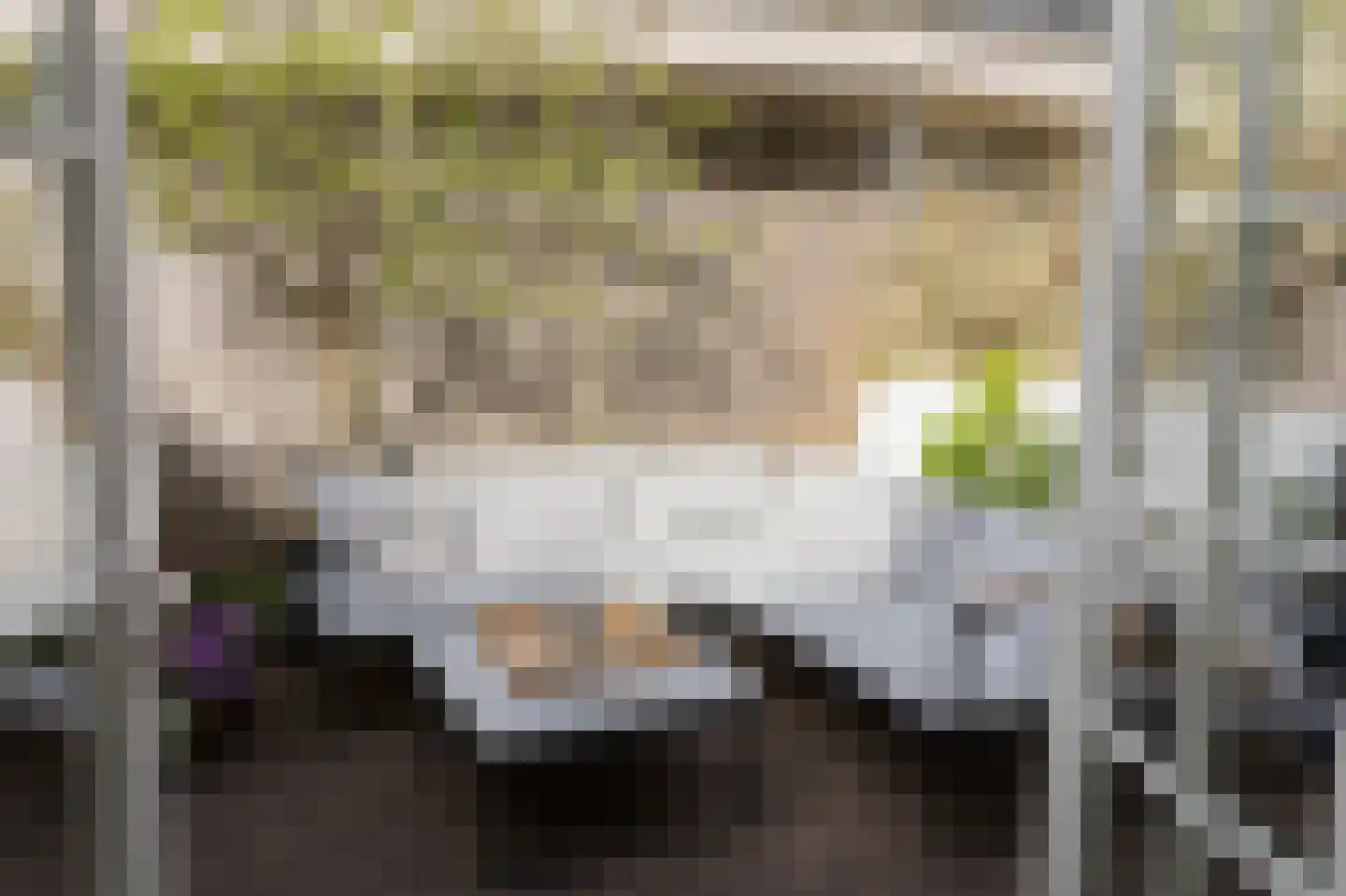 Van Imhoffstraat 3 Utrecht thumbnail 24