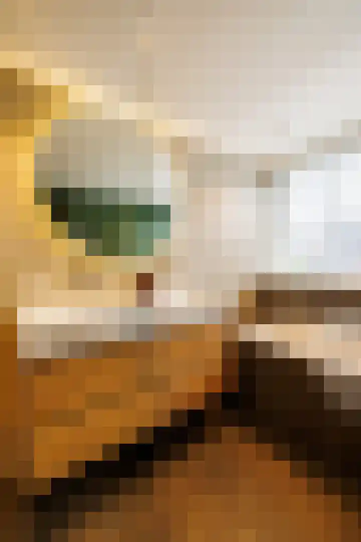 van Irhovenlaan 12 Ede thumbnail 26