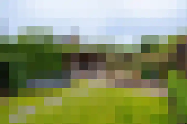 van Irhovenlaan 12 Ede thumbnail 40