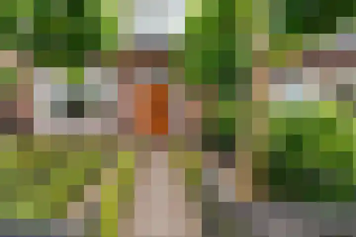 van Irhovenlaan 12 Ede thumbnail 6