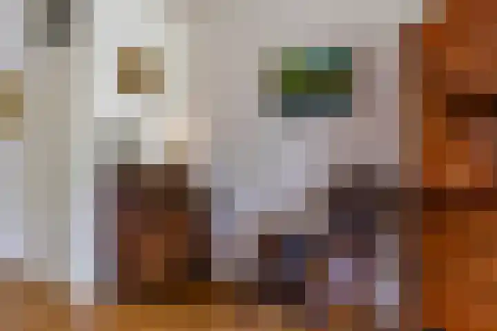 Van Ittersumstraat 9 Groningen thumbnail 19
