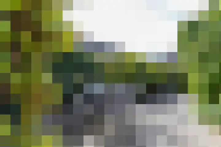 Van Ittersumstraat 9 Groningen thumbnail 24