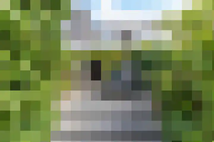 Van Ittersumstraat 9 Groningen thumbnail 29
