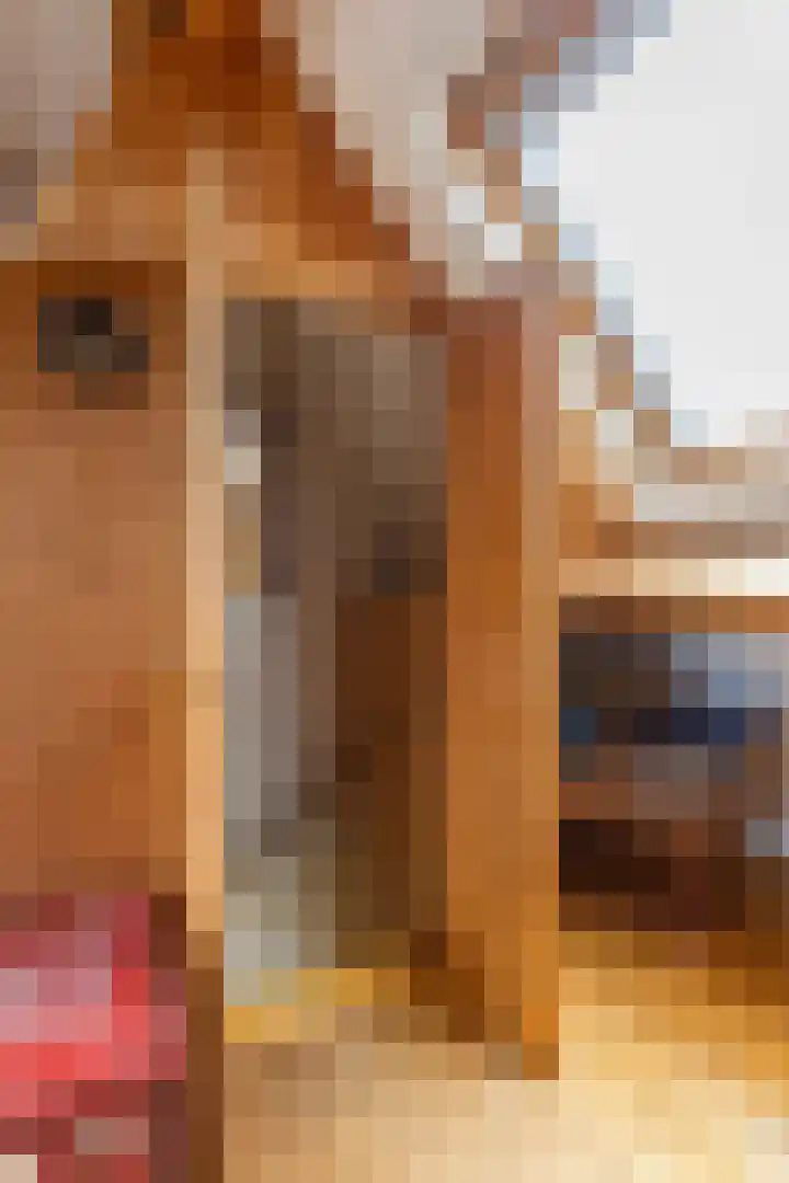 Van Ittersumstraat 9 Groningen thumbnail 48