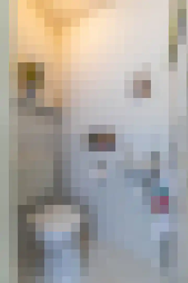 Van Ittersumstraat 9 Groningen thumbnail 7