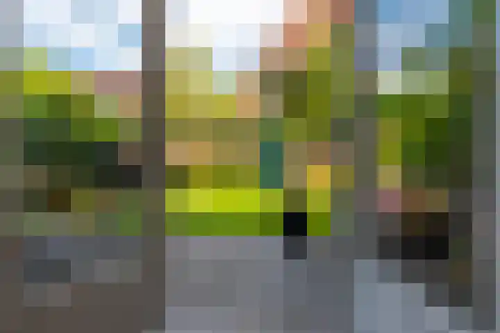 Van Koetsveldstraat 84 Utrecht thumbnail 19