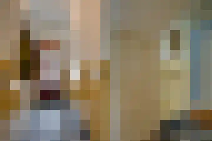 Van Koetsveldstraat 84 Utrecht thumbnail 9