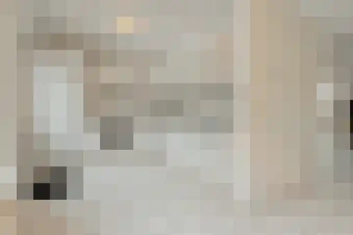 Van Laakstraat 12 Olst thumbnail 15