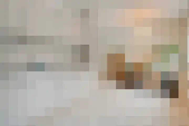 Van Laakstraat 12 Olst thumbnail 17
