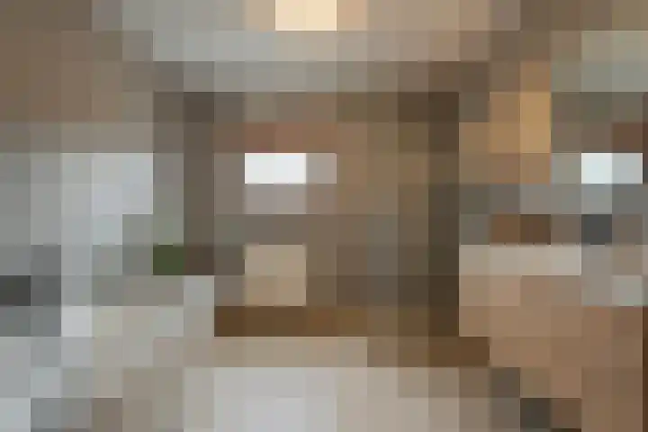 Van Laakstraat 12 Olst thumbnail 27