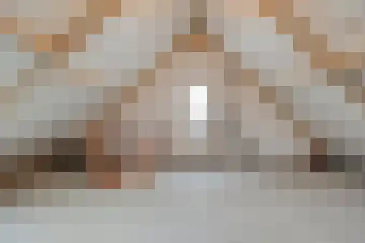 Van Laakstraat 12 Olst thumbnail 30
