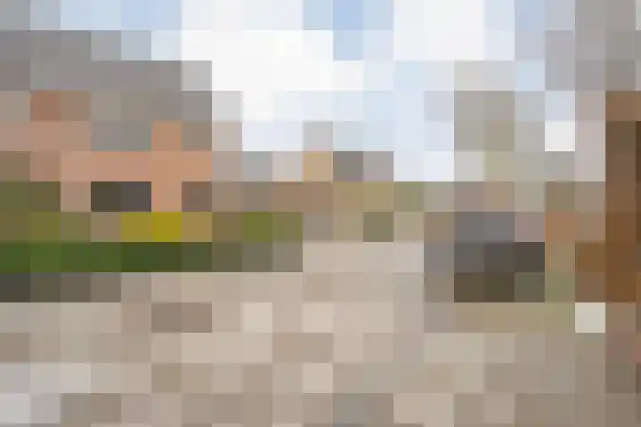 Van Laakstraat 12 Olst thumbnail 42