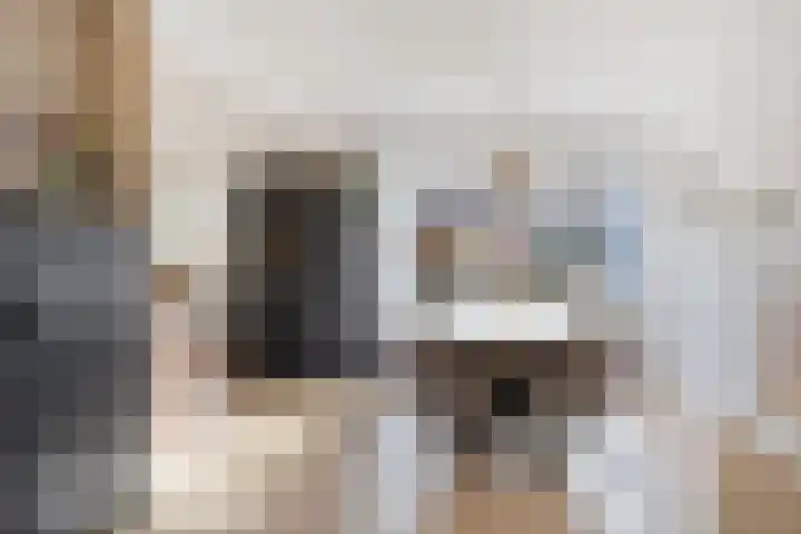 van Laarstraat 7 Heino thumbnail 12