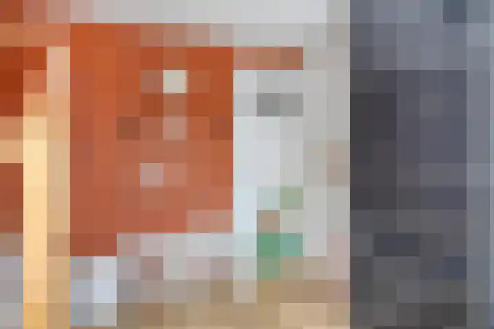van Laarstraat 7 Heino thumbnail 27