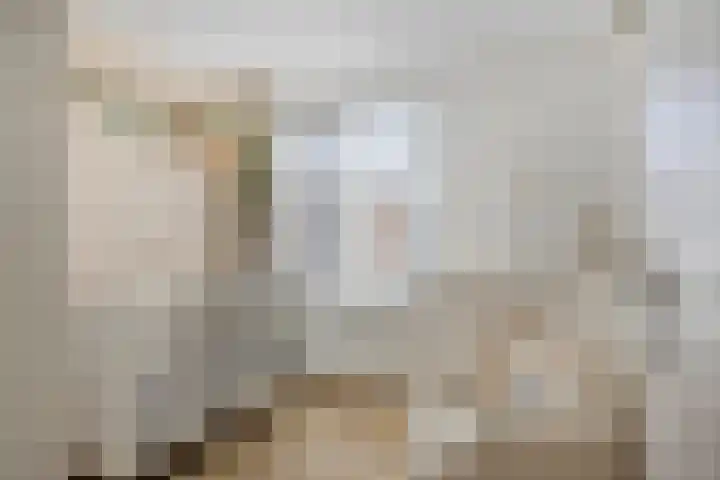 van Laarstraat 7 Heino thumbnail 28