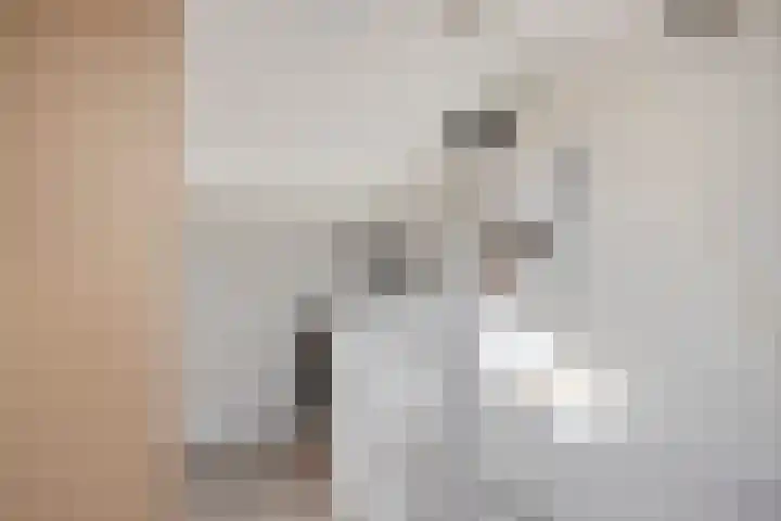 van Laarstraat 7 Heino thumbnail 30
