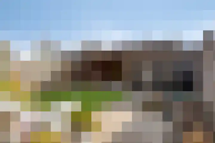 van Laarstraat 7 Heino thumbnail 36