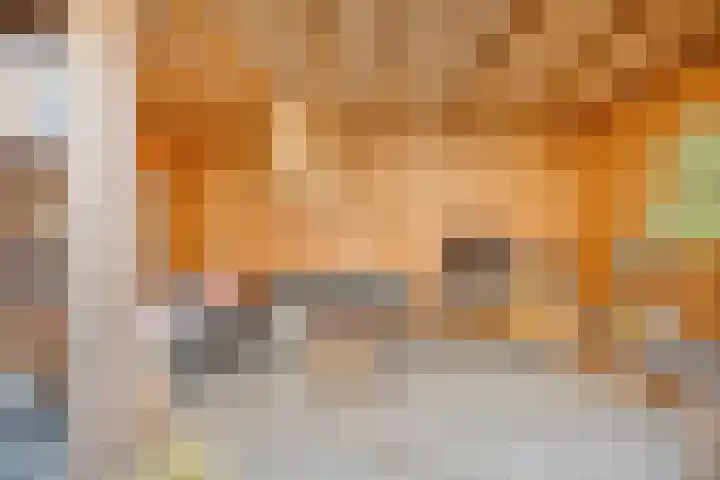 van Laarstraat 7 Heino thumbnail 38