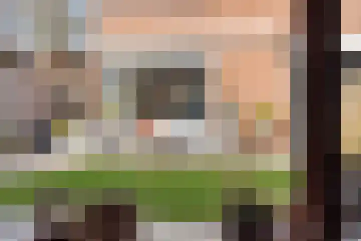 van Laarstraat 7 Heino thumbnail 41