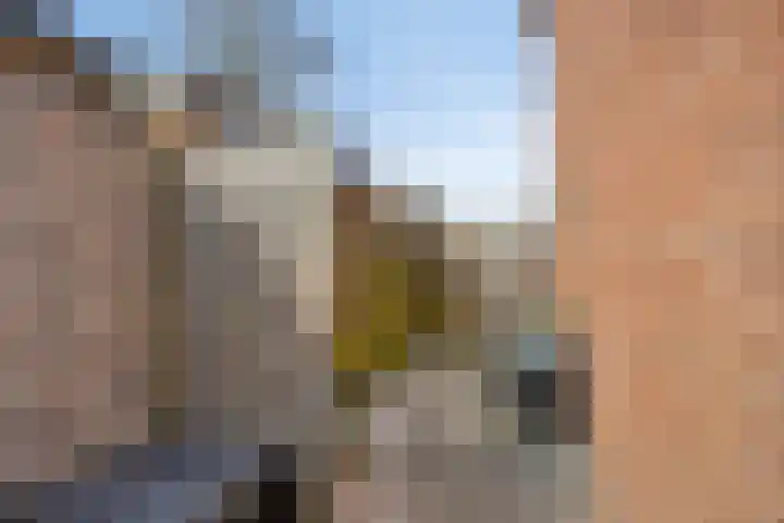 van Laarstraat 7 Heino thumbnail 46