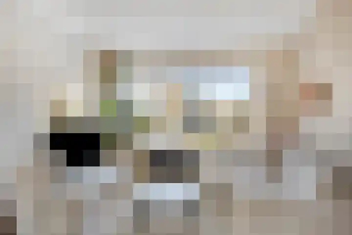 van Laarstraat 7 Heino thumbnail 8
