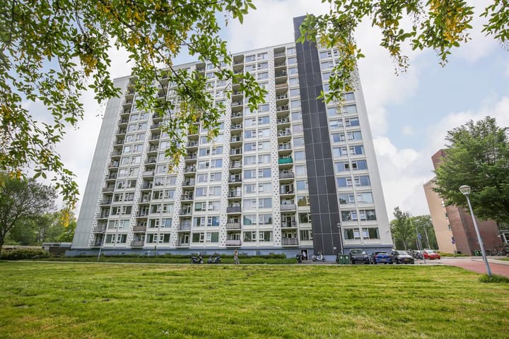 Van Leeuwenhoekstraat 5-0010 in Haarlem