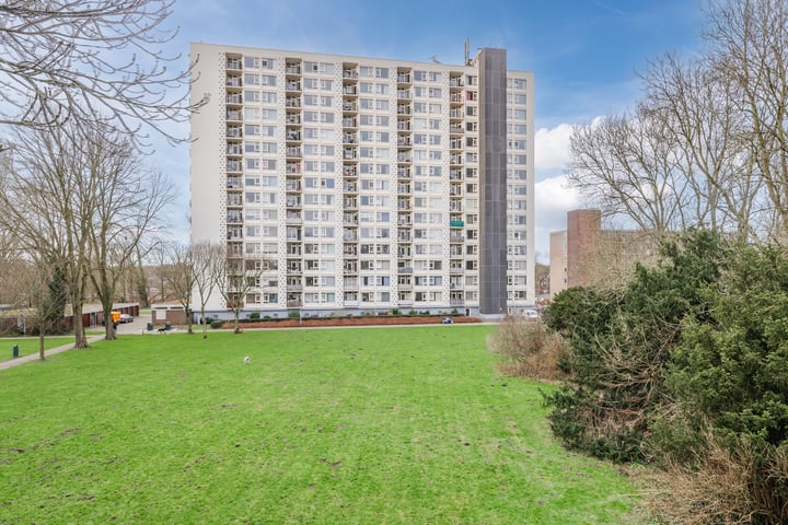 Van Leeuwenhoekstraat 5-0128 in Haarlem foto