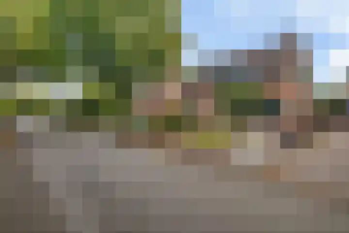 van Lenneplaan 71 Soest thumbnail 31