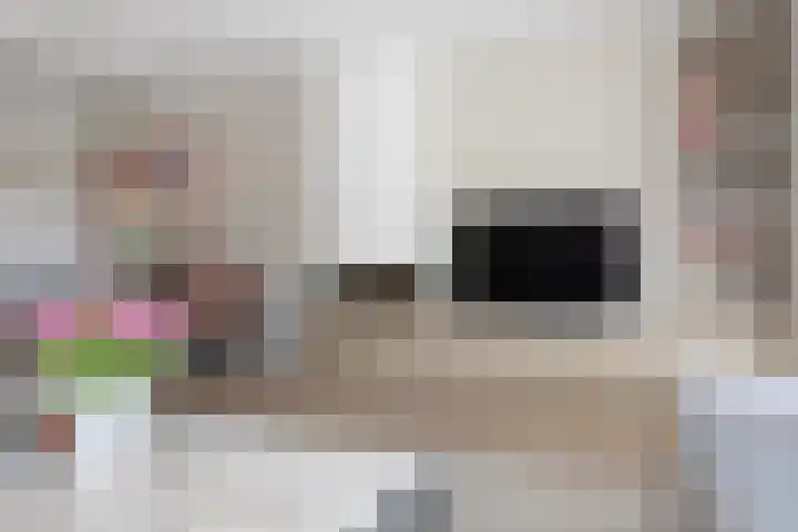van Lingenshoeve 5 Hattem thumbnail 14