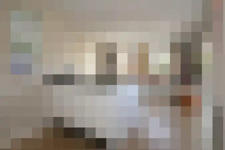 van Lingenshoeve 5 Hattem thumbnail 20