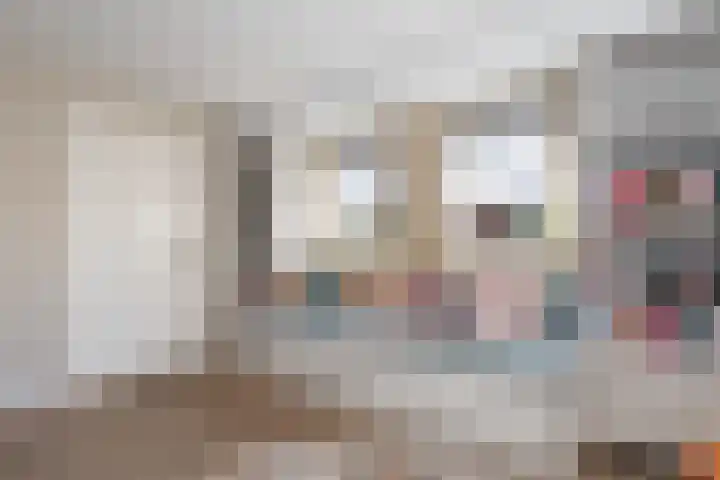 van Lingenshoeve 5 Hattem thumbnail 21
