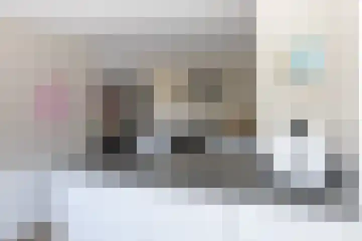 van Lingenshoeve 5 Hattem thumbnail 22