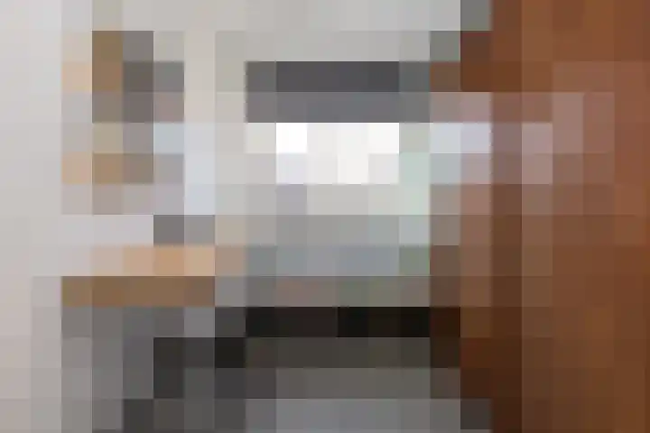 van Lingenshoeve 5 Hattem thumbnail 30
